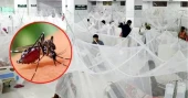 Dengue: 2 die, 157 hospitalised in 24 hours
