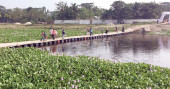 Floating drum bridge raises hopes in Khulna