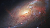 Hawaii or Spain? Telescope experts say it may not matter