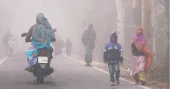 Shivering cold disrupts normal life in Kurigram
