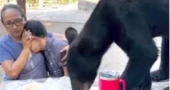 Video of Mexican mother bravely shielding son as bear devours tacos and enchiladas inches away goes viral