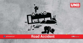 Five killed in Rajbari road crash