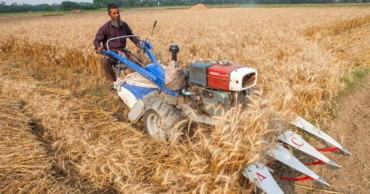 Govt going digital for procuring food grain from farmers