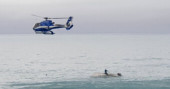 5 dead after New Zealand boat flips in possible whale strike