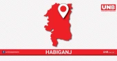Truck-microbus collision kills 5 in Habiganj