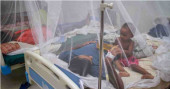 Dengue: Death toll rises to 35 with 4 more deaths in 24 hrs