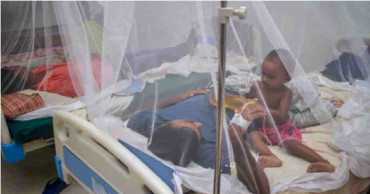 18 dengue patients undergoing treatment at Dhaka hospitals: DGHS