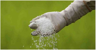 Cabinet purchase body clears procurement of huge wheat, fertiliser