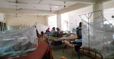 Dengue: 301 more hospitalized in 24 hrs, no fresh death