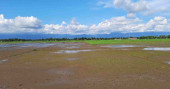 Heavy rains cloud prospects of Boro cultivation