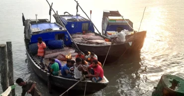 24 fishermen held for catching fish in Sundarbans violating ban