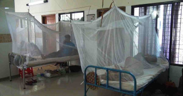 Dengue: 96 more patients hospitalised in 24 hrs