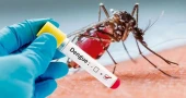 Bangladesh reports 118 more dengue cases, zero death