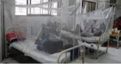 34 dengue patients hospitalised in 24hrs
