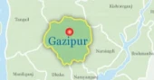 Elephant found dead on Gazipur roadside, suspected to be captive