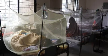 9 more dengue patients die, the highest single-day deaths this year