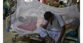7 more Dengue cases recorded in Bangladesh