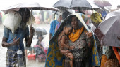 UN food relief agency steps up aid for Rohingays amid heavy rains