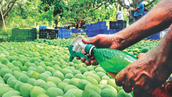 Form panels to prevent chemical use in fruits: HC