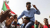 Sudan protesters don't want political parties in government