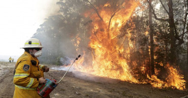 Over 100 native species in need of urgent help following Australian bushfire crisis