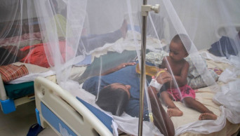 461 new dengue patients hospitalised in 24 hrs