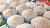 Jatiya Party opposes rice export