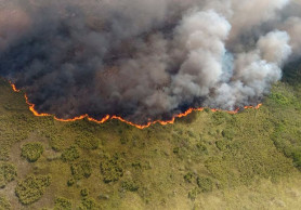 Fire rages through reserve in Mexico's resort-filled Yucatan