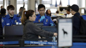 Airports seeing rise in security screeners calling off work