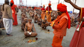 Naked pot-smoking sect grows at Indian Hindu fest
