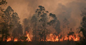 South Australians warned to prepare for worst bushfire in 4 years