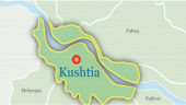 Newlywed housewife ‘tortured to death’ for dowry in Kushtia