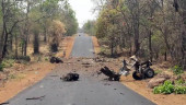 Maoist rebels kill 15 police commandos, driver in west India