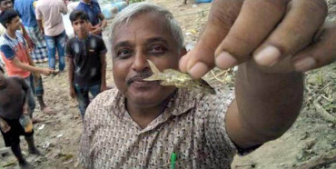 Live fish found in milk container in Sirajganj, trader jailed