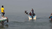 20 feared dead as Meghna sunken trawler remains untraced