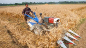 Farm mechanisation, commercialisation can save farmers: Minister
