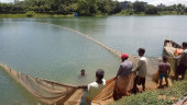 Fishing banned in Kaptai for 3 months