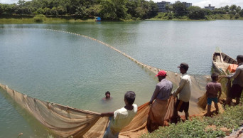 Fishing banned in Kaptai for 3 months