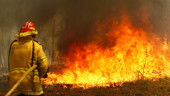 3 dead, dozens injured as Australia wildfires raze homes