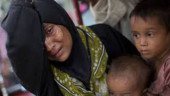 Bangladesh hands fresh list of 25,000 Rohingyas to Myanmar for verification 