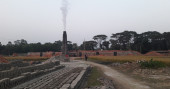 Magura brick kilns fined Tk 12.9 lakh