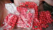 Two held with 10,000 Yaba pills at Teknaf