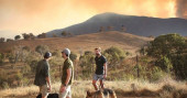 Wildfire creates state of emergency in Australian capital
