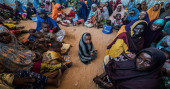 Aid agencies seek solutions to climate emergency needs in Somalia