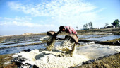 Salt farmers to get special care for 5yrs: Minister