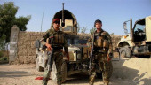 Air raids kill 10 militants in Afghanistan's western province
