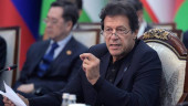 I will fix the Pakistan cricket team: PM Imran Khan