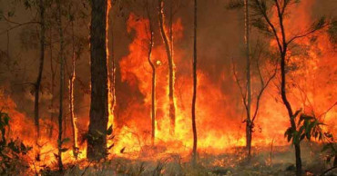 2 more confirmed dead, several missing in Australian bushfires