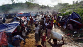 Dhaka reassures EU of "voluntary nature" of Rohingya relocation