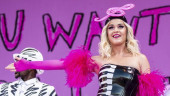 Katy Perry and others ordered to pay 2.78 million dollar for copying song